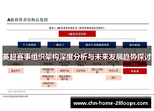 英超赛事组织架构深度分析与未来发展趋势探讨