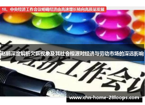 赵鹏深度解析欠薪现象及其社会根源对经济与劳动市场的深远影响