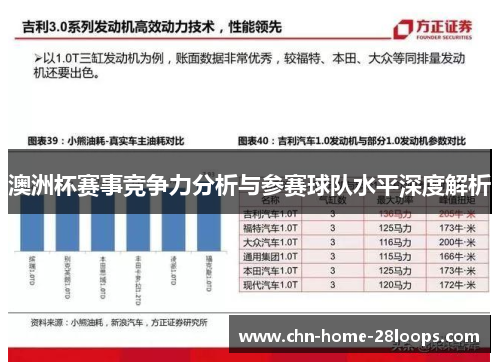 澳洲杯赛事竞争力分析与参赛球队水平深度解析