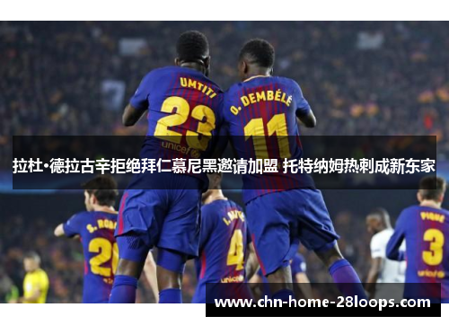 拉杜·德拉古辛拒绝拜仁慕尼黑邀请加盟 托特纳姆热刺成新东家 拉杜·德拉古辛拒绝拜仁慕尼黑邀请加盟 托特纳姆热刺成新东家